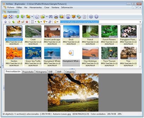 XnView 2.52.0 Complete Download